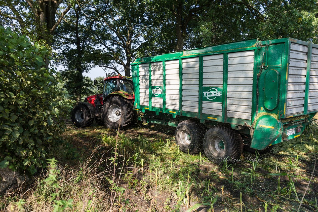 Bild 201 - Maisernte